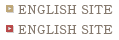 ENGLISH SITE